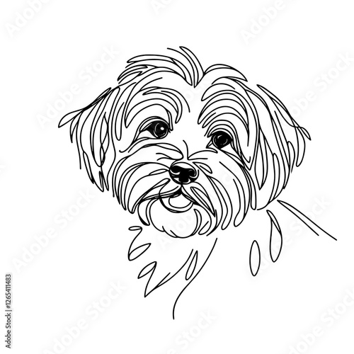 Maltese breed Dog Continuous one line drawing, inimalist vector illustration design on white background. Simple line modern graphic style. Hand drawn graphic concept