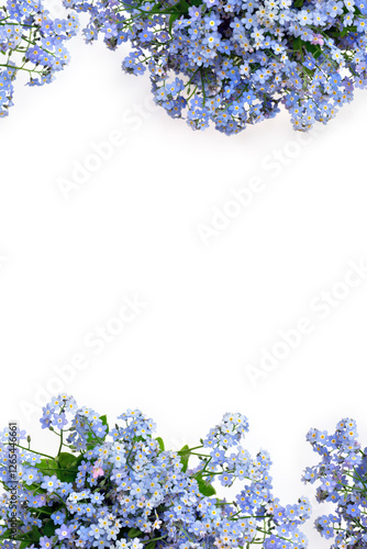 Bouquet of blue flowers forget-me-nots on a white backgroundwith space for text. Top view, flat lay photo