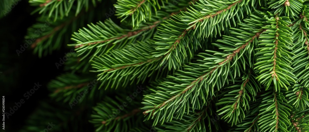 A close-up view of a pine tree branch with vibrant green needles. A close-up view of a pine tree branch with vibrant green needles.