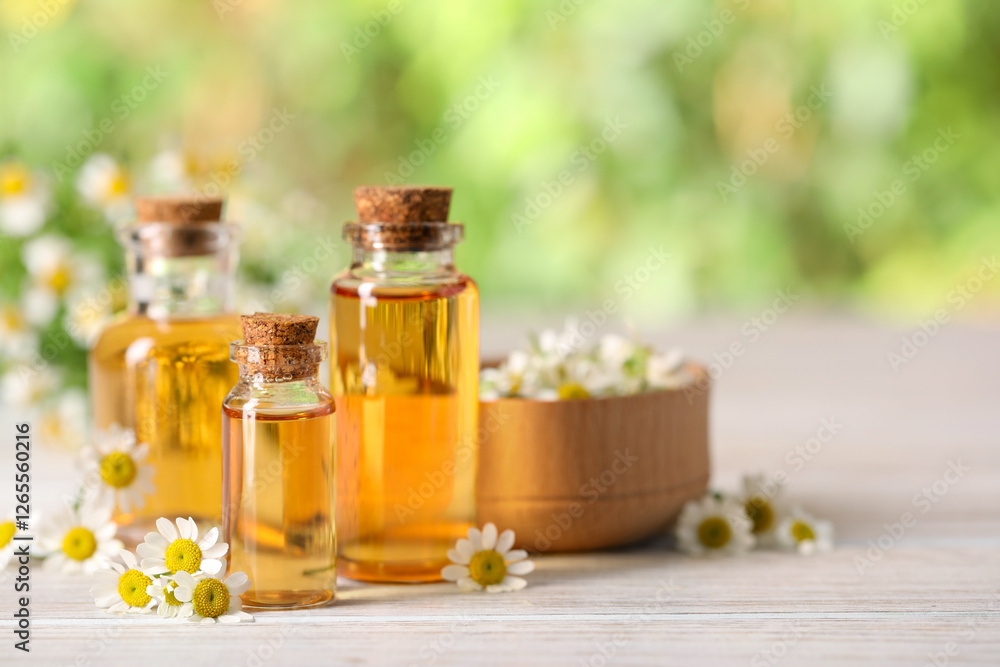 Bottles of essential oil and chamomile flowers on white wooden table against blurred background, closeup. Space for text Bottles of essential oil and chamomile flowers on white wooden table against blurred background, closeup. Space for text