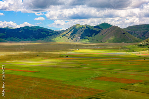 La coloritissima fioritura dell'altipiano di Castelluccio di Norcia nel Parco Nazionale dei Monti Sibillini, Umbria, Italia, in una soleggiata giornata estiva