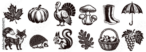 Autumn illustrations, vector set, maple and oak leaves, pumpkin, turkey, mushrooms, boots, umbrella, fox, hedgehog, squirrel, apple basket, and bunch of grapes. Vintage engraving style