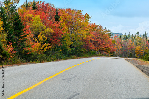 A view of autumn foliage approaching a bend in the road in the Bay of Fundy, New Brunswick in the fall photo