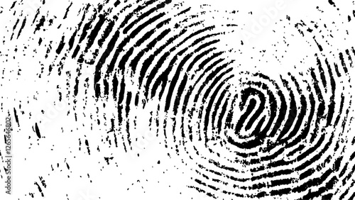 Vector style white and black fingerprint texture design. Vector black fingerprint on white Transparent background.
