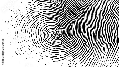 Black ink fingerprint image white background. Vector black fingerprint on white Transparent background.  A fingerprint on a transparent background. 