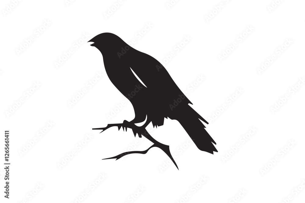 Fototapeta premium Bird with Vector (14).eps