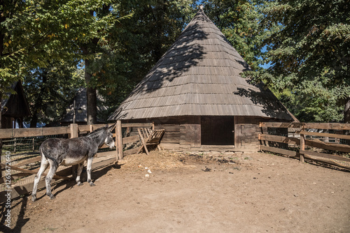 beautiful old traditional houses from Romania