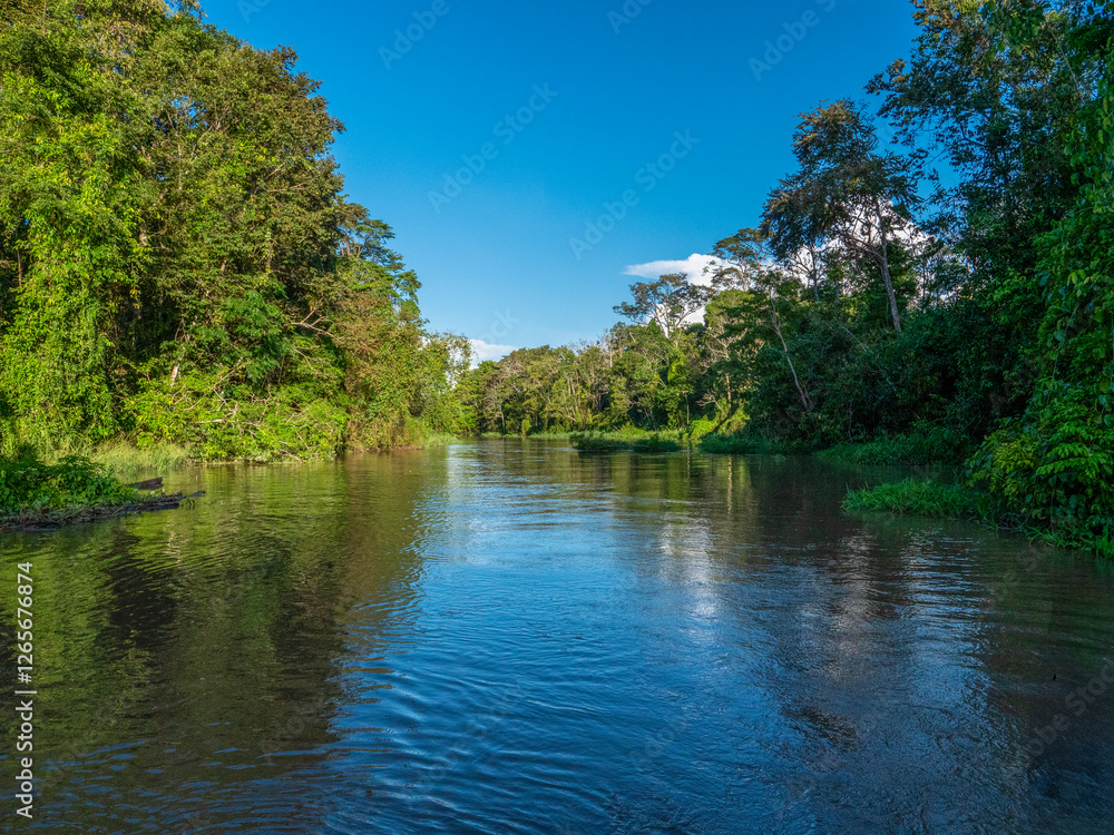 Amazon river landscape near the city of Jutaí in Brazil. Amazon river landscape near the city of Jutaí in Brazil.