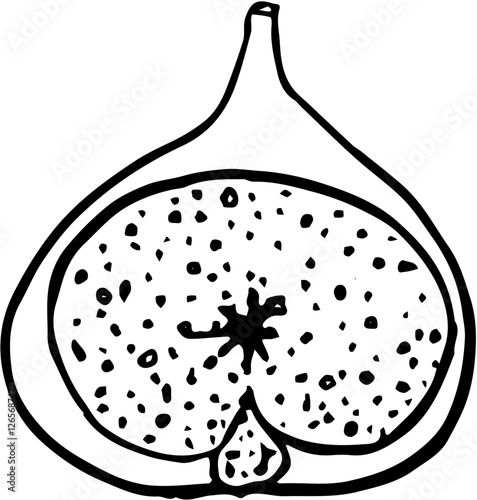 Fig