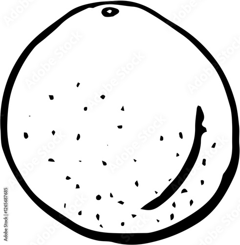Grapefruit