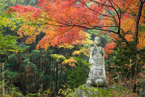 Buddhist stone statue under a maple tree, Shosenkyo Gorge, Kofu, Yamanashi Prefecture, Japan photo