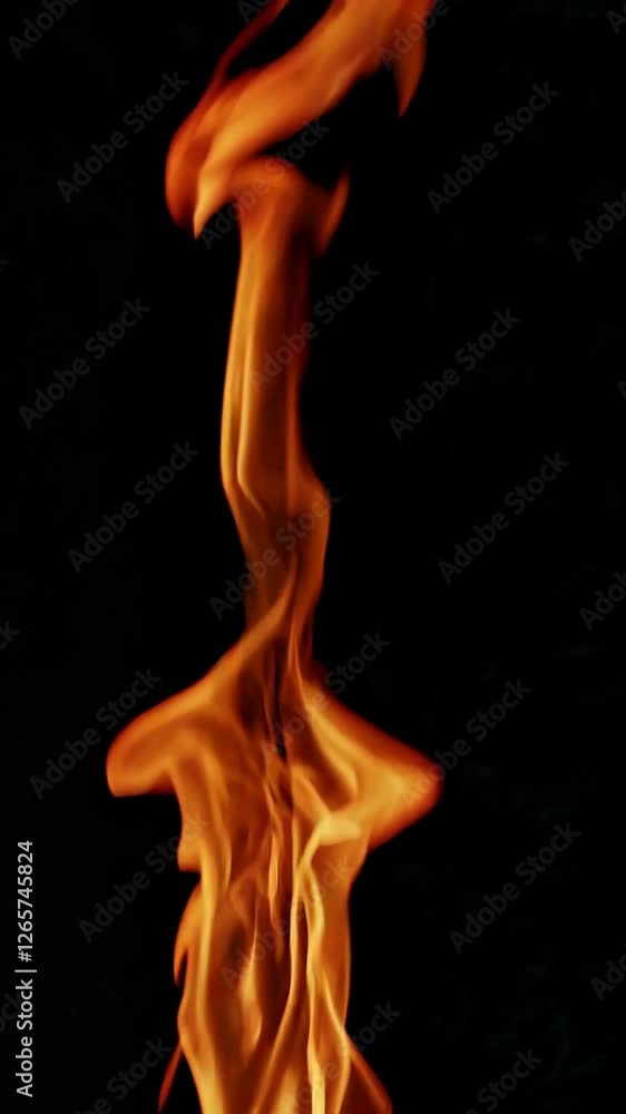 vertical animation capturing vivid fire flames flickering gracefully against a deep black background. vertical animation capturing vivid fire flames flickering gracefully against a deep black background.