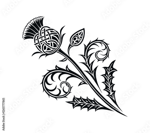 Scottish thistle vector Line art in Celtic style flower illustration