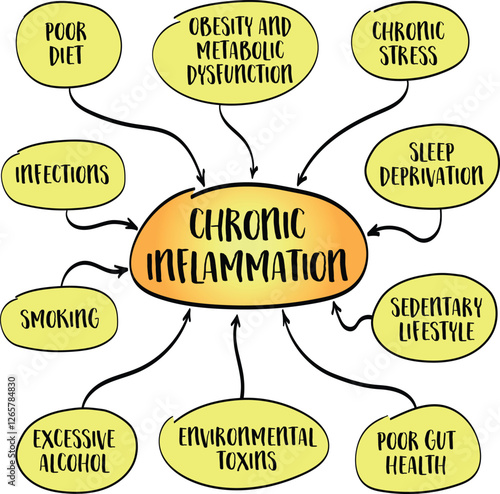 Causes of chronic inflammation, body prolonged immune response to stressors such as poor diet, lack of exercise, environmental toxins, and infections. Infographics sketch.