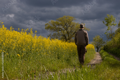 Obraz na płótnie Mann spaziert am Feldrand zur Rapsblüte mit dunklen Regenwolken im Mai. w salonie