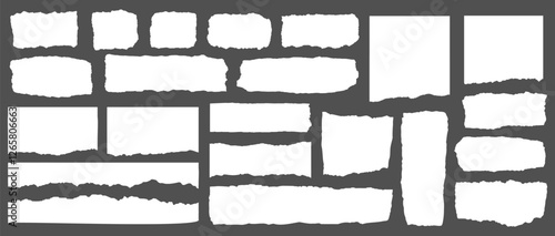 Collection of torn paper edges on a gray background. Torn paper textures, ripped paper designs, and jagged paper edges create a raw, artistic look. Ripped element set. Vectors.