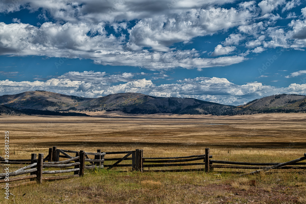 Fototapeta premium New Mexico Meadow