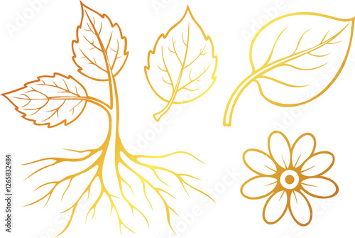 Golden close-up botanical studies of petals, leaf veins, and intricate plant roots line art book vector design