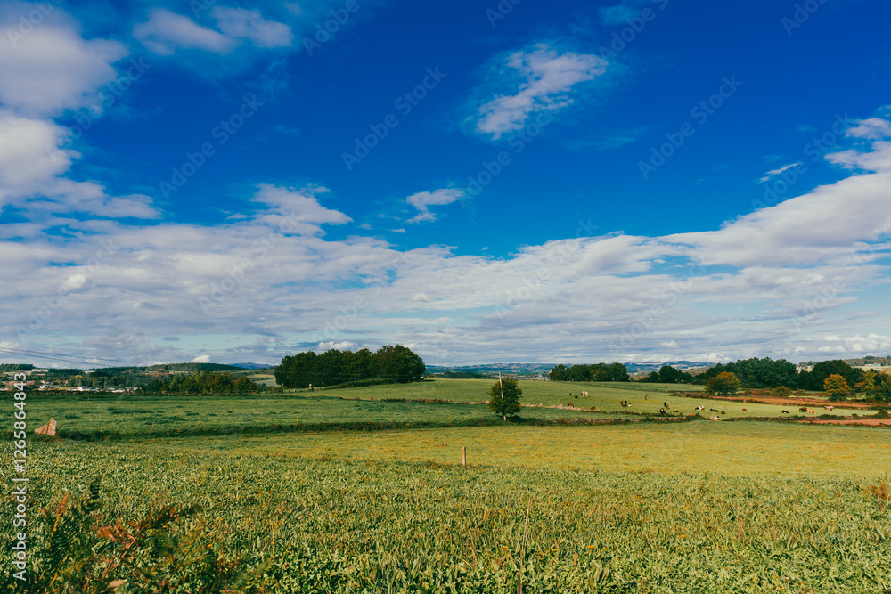 Landscape with paths and beautiful mountains with blue sky on the French Way. Stage Portomarín - Palas de Rei. Spain. Landscape with paths and beautiful mountains with blue sky on the French Way. Stage Portomarín - Palas de Rei. Spain.