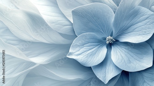 Floral blossom close-up blue petals, delicate bloom. Background with more petals
