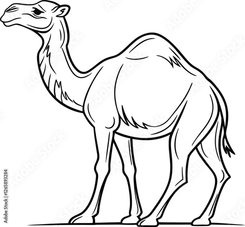Dromedary Camel Line Drawing Arabian Desert Animal Illustration
