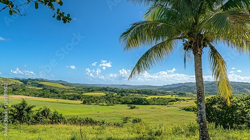 Wallpaper Mural Palm Tree Overlooking Lush Green Valley Landscape Torontodigital.ca