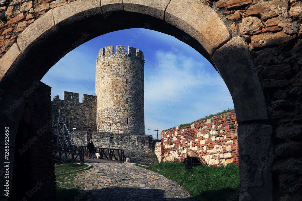 ruins of the castle ruins of the castle