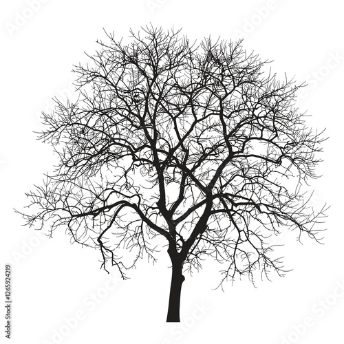 elegant illustration of dead tree branches