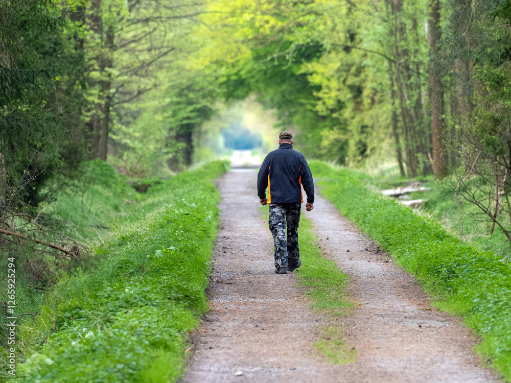 a man walking along a forest road