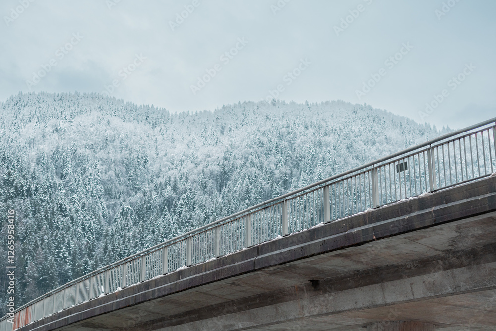 Concrete Bridge with metal railing is visible crossing the river and snow capped hills with forest seen in the background