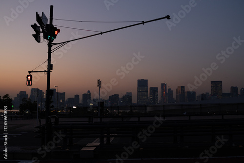 Nightlights of Tokyo