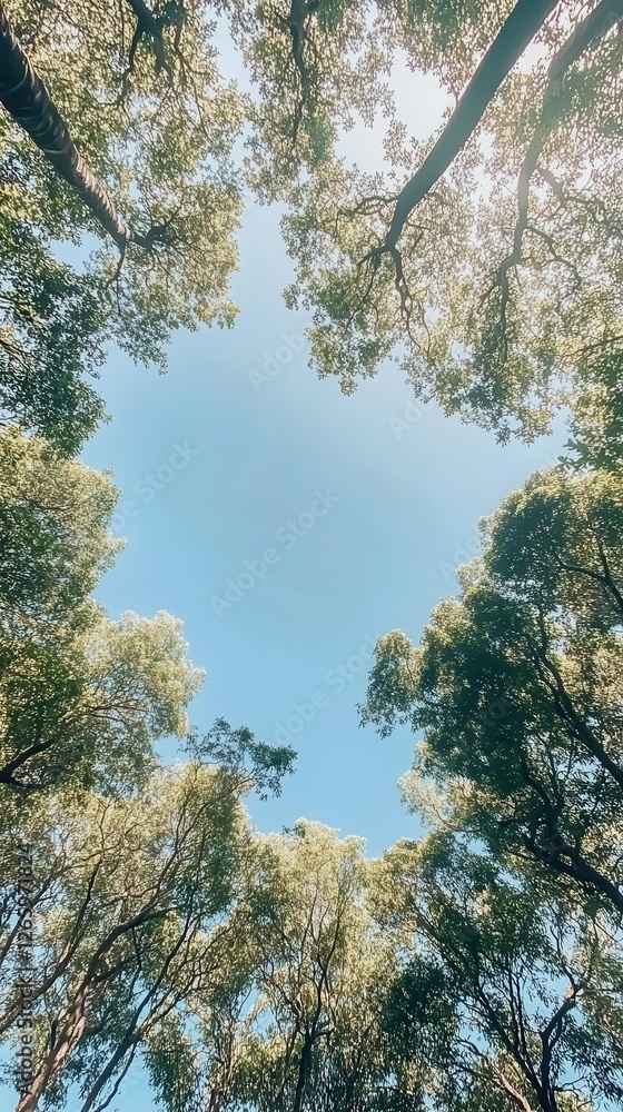 Obraz premium Clear Blue Sky and Lush Green Trees Seen from Below, Vertical Composition for Earth Day Environmental Campaigns