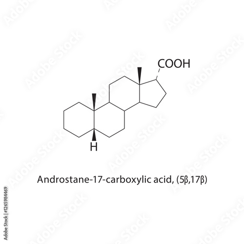 Androstane-17-carboxylic acid, (5β,17β) skeletal structure.Steroid acid compound schematic illustration. Simple diagram, chemical formula.