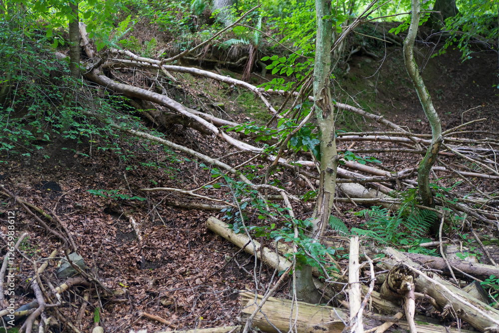 A pile of branches in the middle of the forest. Concept of environmental problems