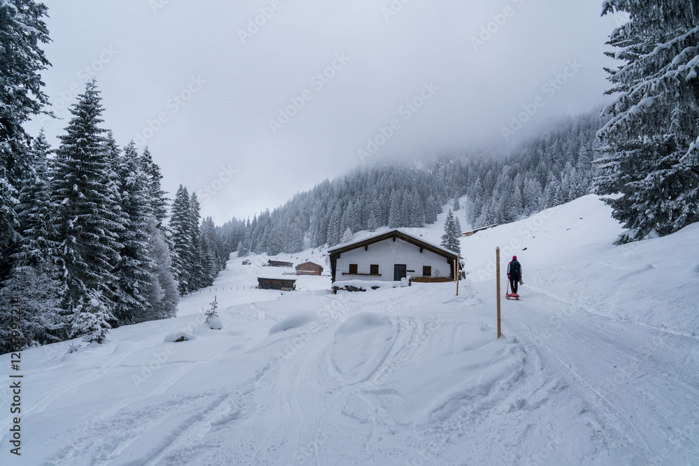 Naklejka premium Hiking in the mountains and forest. Alps. Austria in winter
