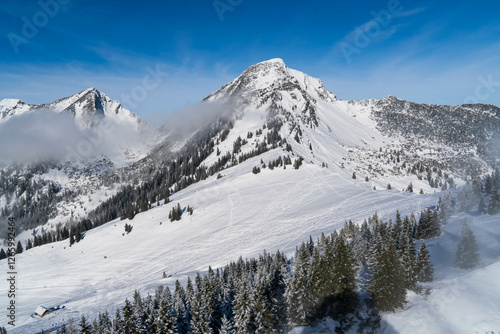 Wallpaper Mural Hiking in the mountains and forest. Alps. Austria in winter Torontodigital.ca