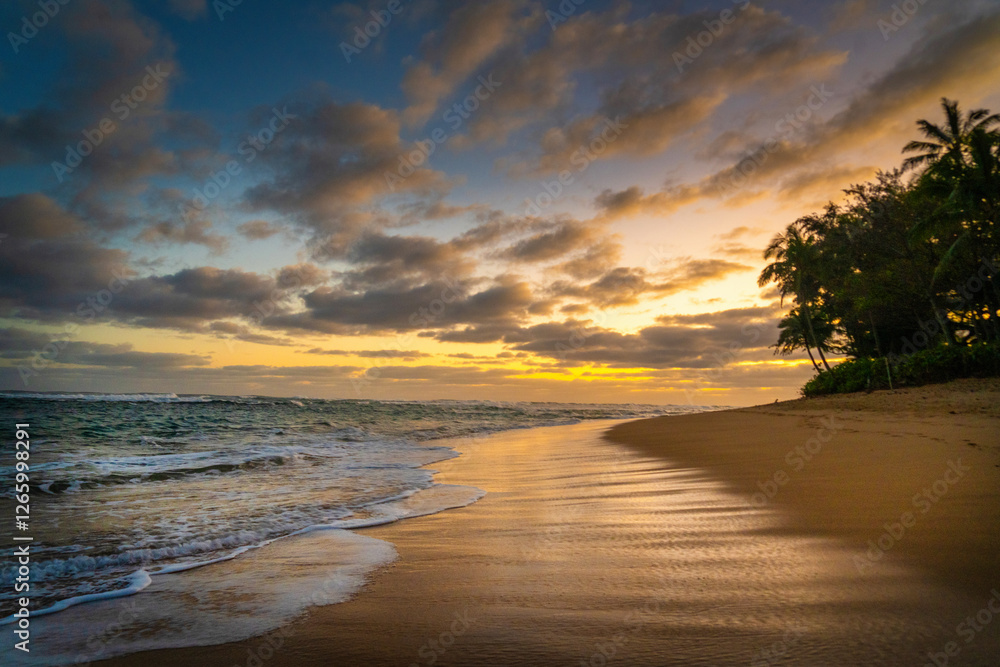 Fototapeta premium Remote beach in Kauai Hawaii at sunrise