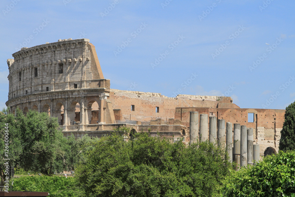 Obraz premium Colisée Rome