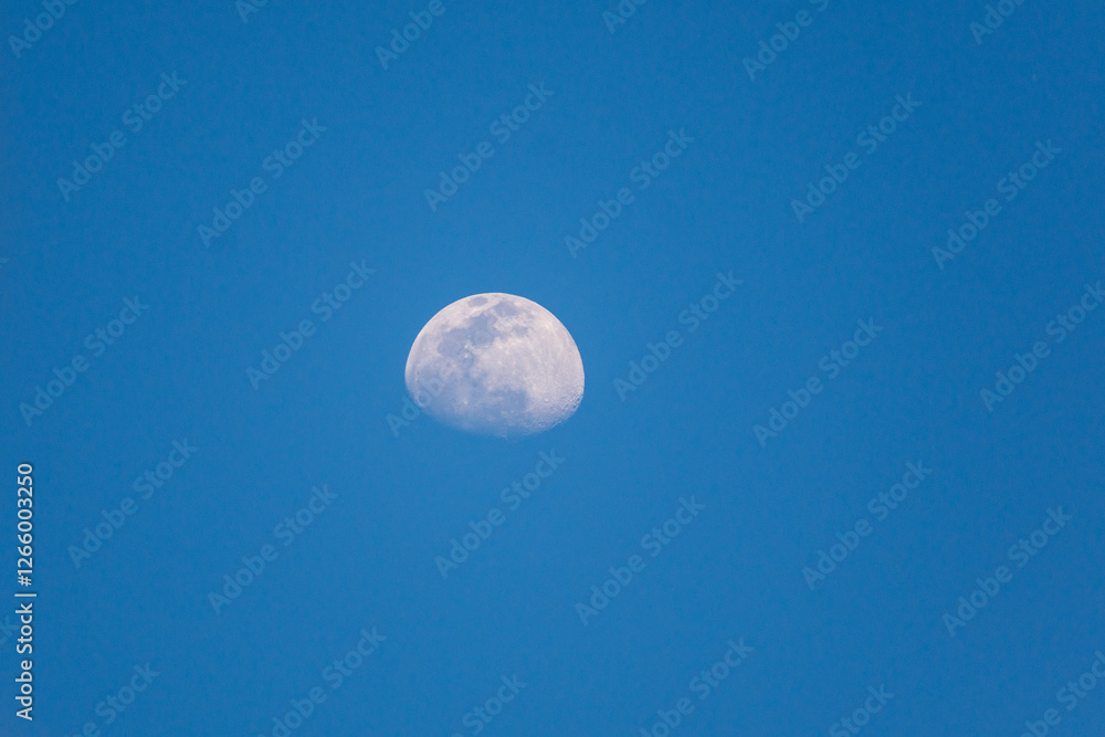 Waxing gibbous moon in a daytime blue sky Waxing gibbous moon in a daytime blue sky