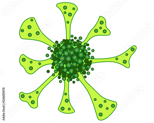 Stentor, ciliate, ciliate trumpeter, ciliate colony, trumpet animalcules - vector full color picture for with unicellular animals. Ciliates - a picture on biology.	