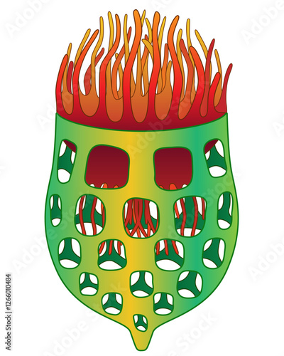 Fotografie Infusoria tintinnid - vector full color illustration, Tintinnid - ciliate building a house, unicellular eukaryote with a shell