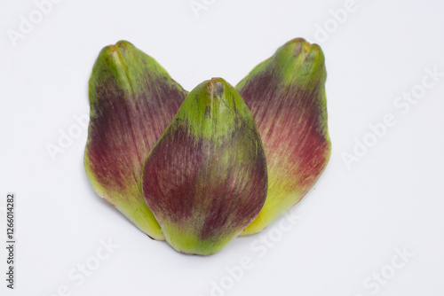 Artichoke petals on white background.
