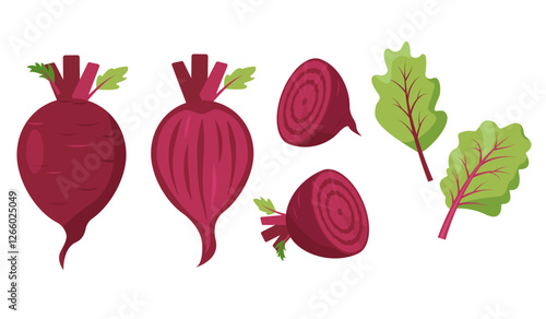 Beet vegetables. Whole and cut Beets and leaves. Farm beet plant icons. Organic garden vegetarian food. Vector illustration isolated on white background.