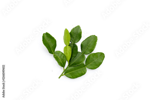 Kaffir lime leaves on white background.
