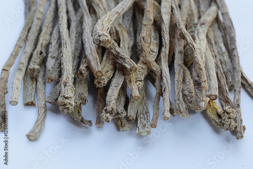 Dang Shen or Codonopsis pilosula, Chinese herbal medicine photo