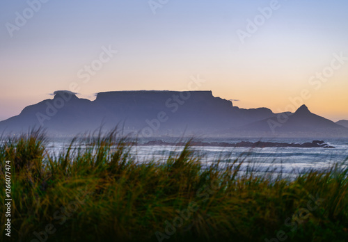 Obraz na płótnie Silhouette of Table Mountain Behind Grass at Big Bay, Bloubergstrand, Cape Town, South Africa w salonie