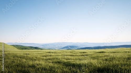Serene grassy field  distant mountains  clear sky  nature background