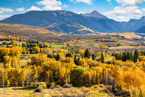 Obraz na płótnie Fall Foliage in Lake Creek valley, near Edwards, Colorado, with view towards Gold Dust Peak and New York Mountain. w salonie