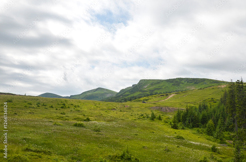 Expansive view of lush green hills under a cloudy sky, evoking tranquility and connection with nature's beauty. Svydovets, Carpathian Mountains, Ukraine Expansive view of lush green hills under a cloudy sky, evoking tranquility and connection with nature's beauty. Svydovets, Carpathian Mountains, Ukraine