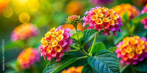 Vibrant Clusters of Lantana Flowers in High Definition